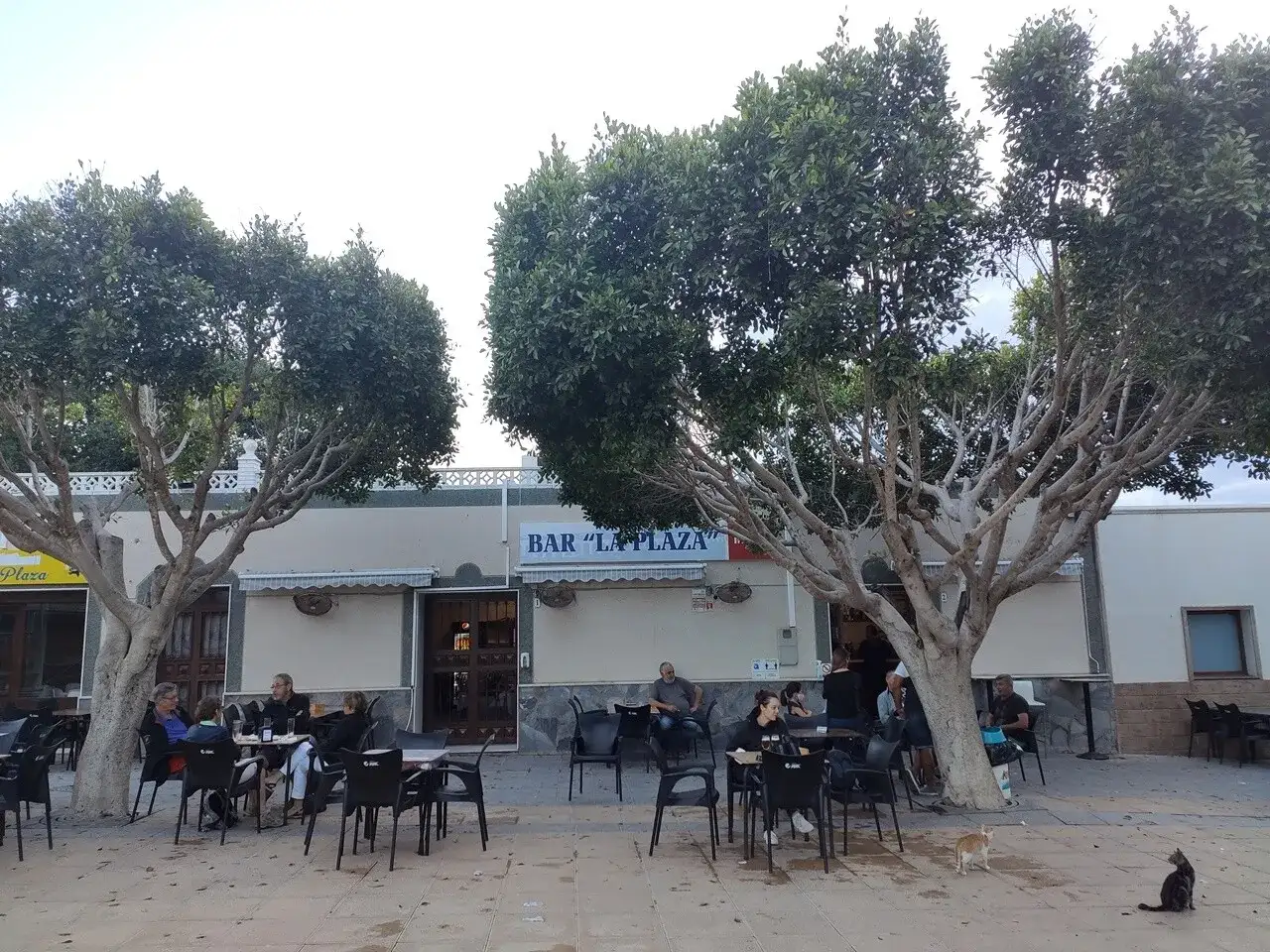 Dónde comer en Cabo de Gata según tu ruta y presupuesto